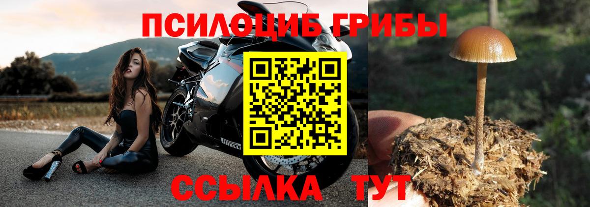 Галлюциногенные грибы ЛСД Зима