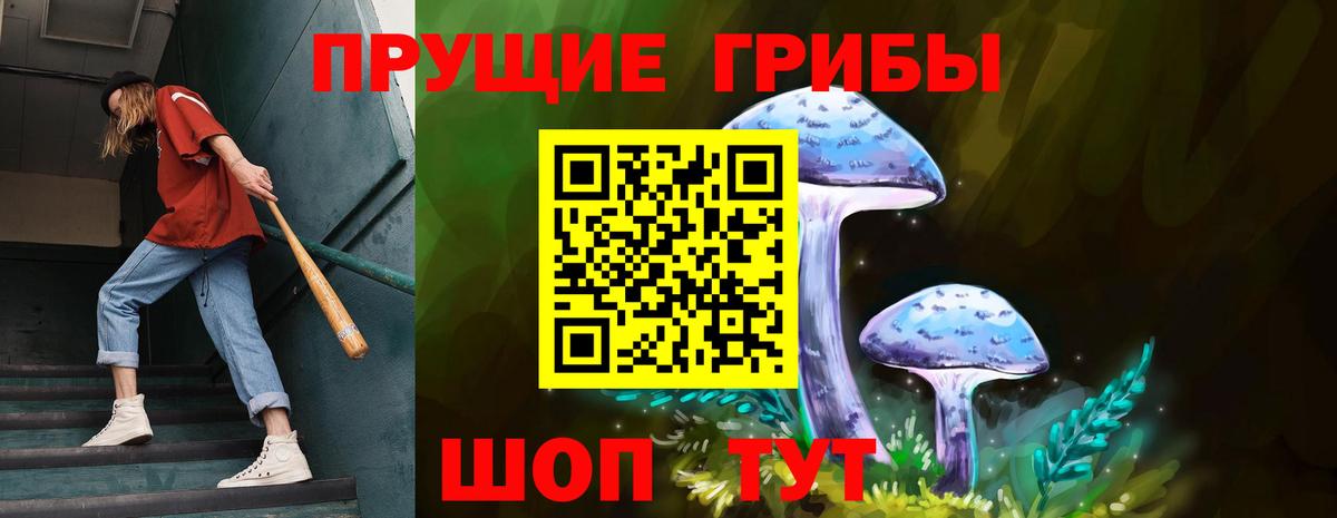 Псилоцибиновые грибы Psilocybe  Вход с VPN  Зима 